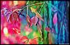 -colorful_leaves_2-wallpaper-1440x900.jpg