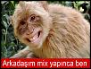 -s.jpg