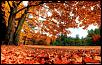 autumn_country-wallpaper-1440x900.jpg