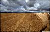 bales_of_straw-wallpaper-1440x900.jpg