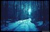 winter_road_2-wallpaper-1440x900.jpg