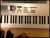 IST: Korg Triton Le 76 - Custom Design-7.jpg