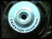 CELESTION truvox1530-30032013-005-.jpg