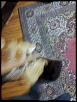 -img_20140910_221230.jpg