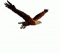 kavalci nickli �yeye ait kullan�c� resmi (Avatar)