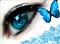 Neyzen Aday� nickli �yeye ait kullan�c� resmi (Avatar)