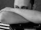 akardeonist nickli �yeye ait kullan�c� resmi (Avatar)