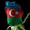 Cemile Yunus nickli �yeye ait kullan�c� resmi (Avatar)