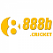 888bcricket nickli �yeye ait kullan�c� resmi (Avatar)