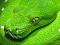 emre_5553 nickli �yeye ait kullan�c� resmi (Avatar)