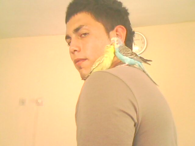 IMG0151A.