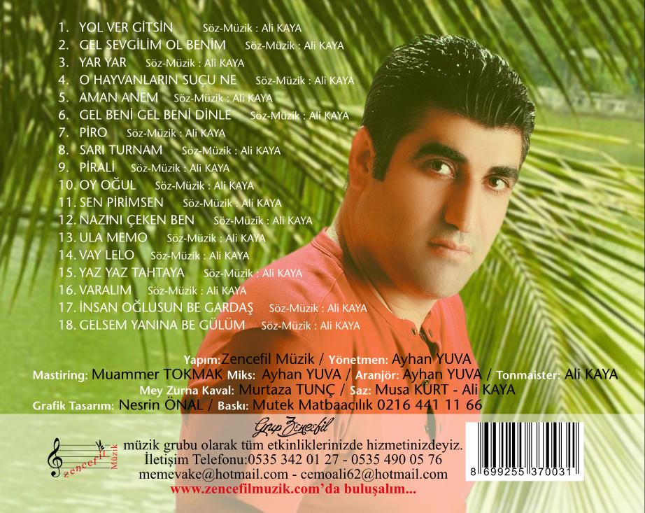 ali kaya arka dis (7)