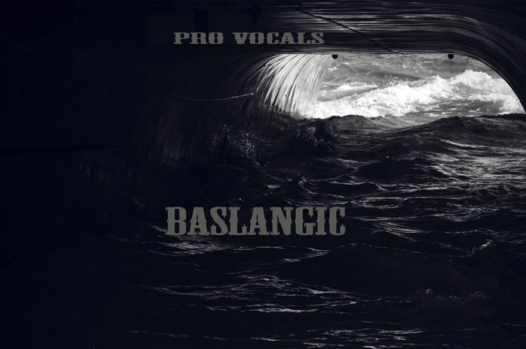 BA�LANGI� (P.V.P) 2013