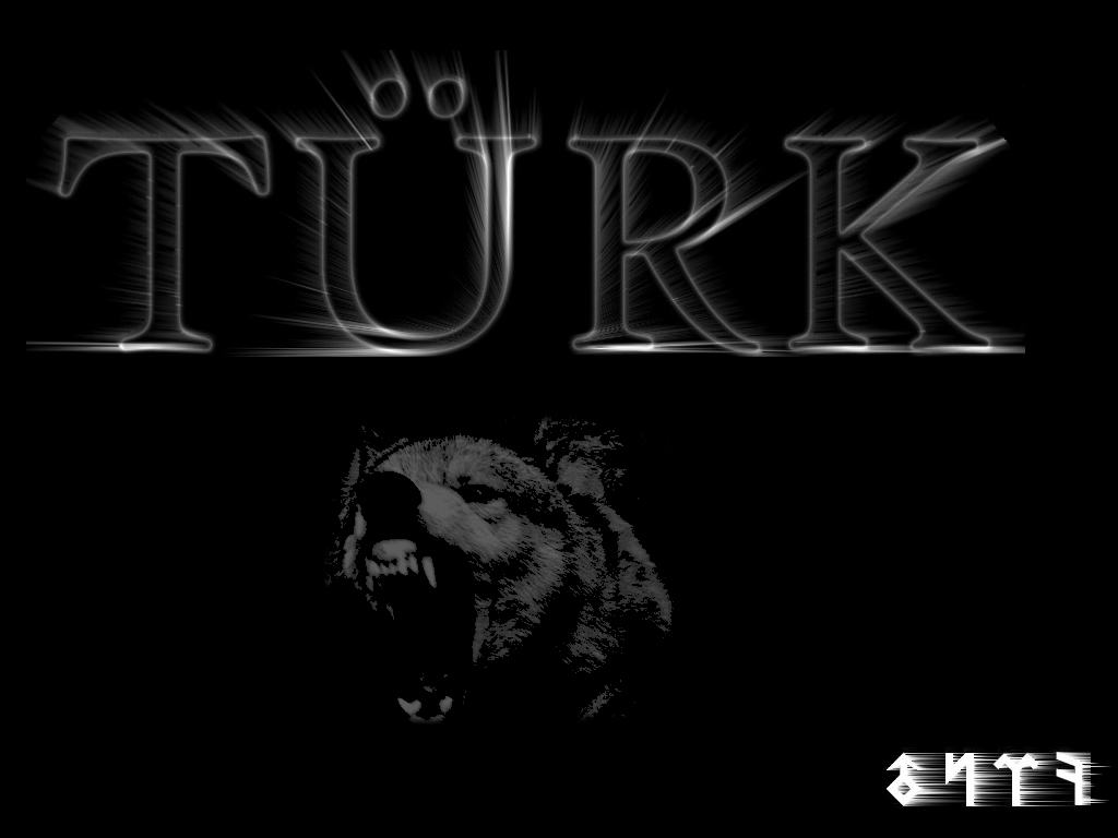 turk2