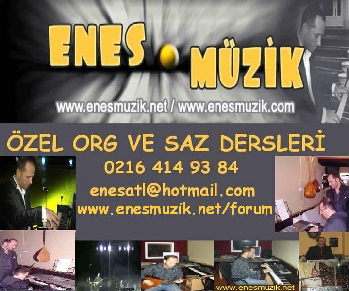 org dersi